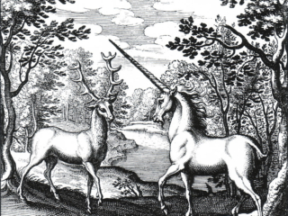 Lambsprinck 2